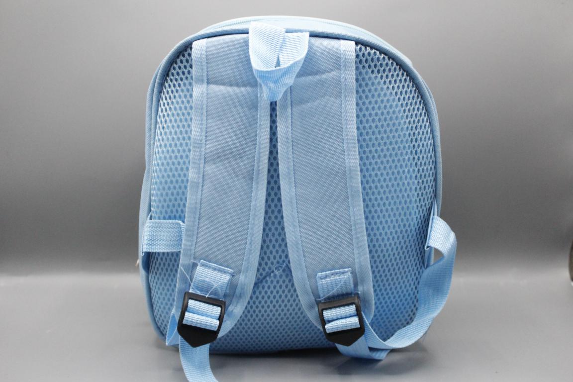 Frozen Bag / Travel Backpack (KC5543)