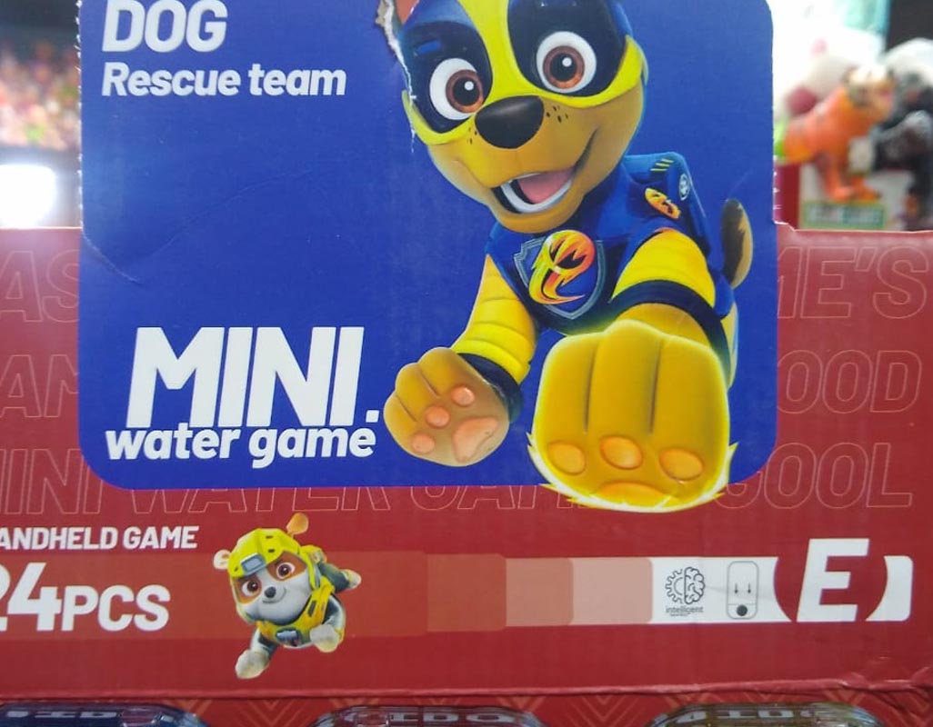 Paw Patrol Water Game for Kids (2586E)