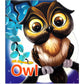 All About Me Owl - An Informative Book for Kids