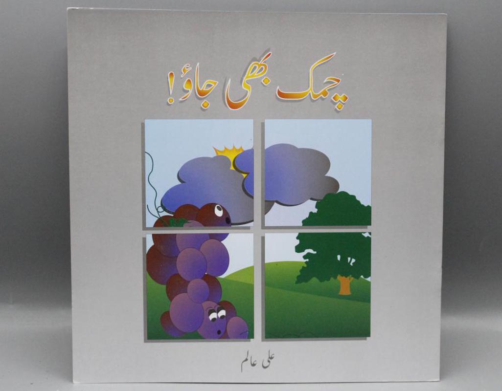 Chamak Bhi Jao By Ali Alam Urdu Book