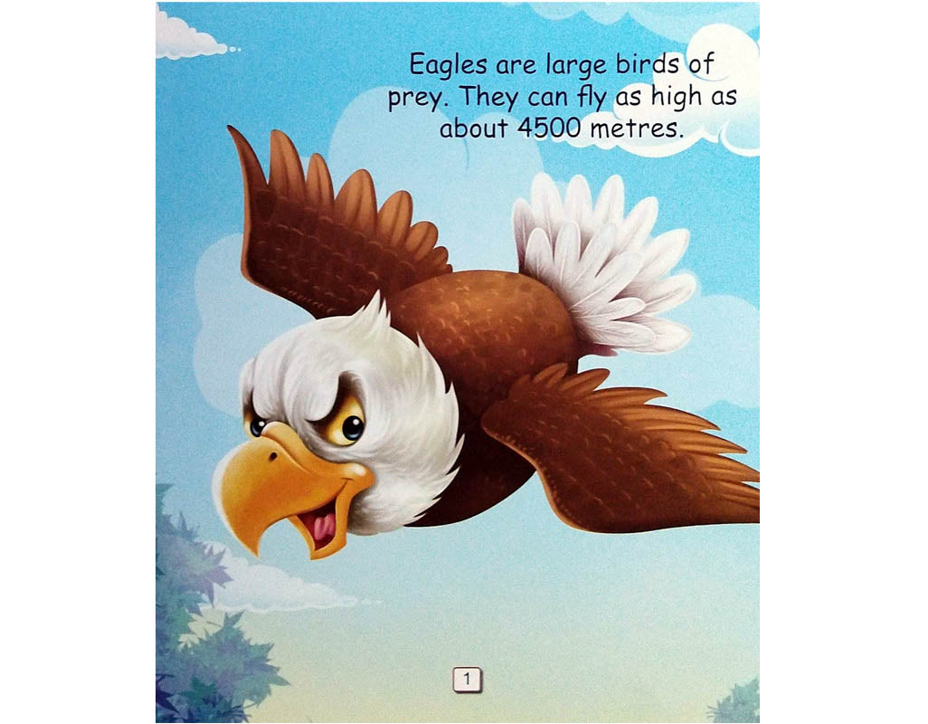 I Am An Eagle - An Informative Book for Kids