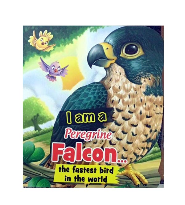 I Am A Peregrine Falcon
