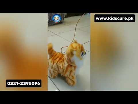 Remote Controlled Walking Cat (KC5301)