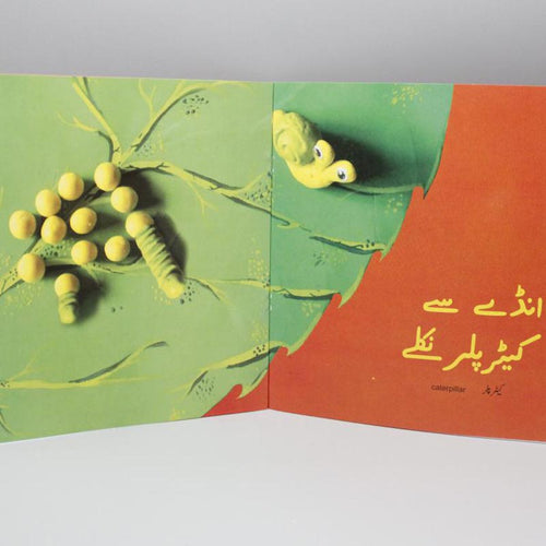 Load image into Gallery viewer, Titli Se Title By Sana Kirmani Urdu Book
