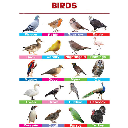 Load image into Gallery viewer, Birds Folding Chart
