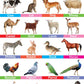 Domestic Animals Folding Chart