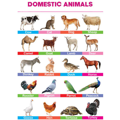 Domestic Animals Folding Chart – Kids Care