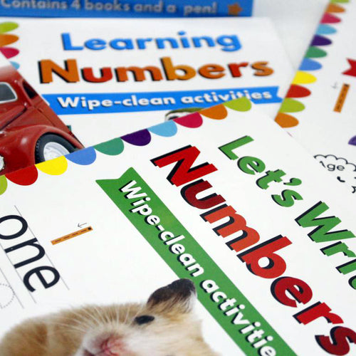Load image into Gallery viewer, 123 Let&#39;s Learn Numbers Wipe And Clean Activity Four Books Set
