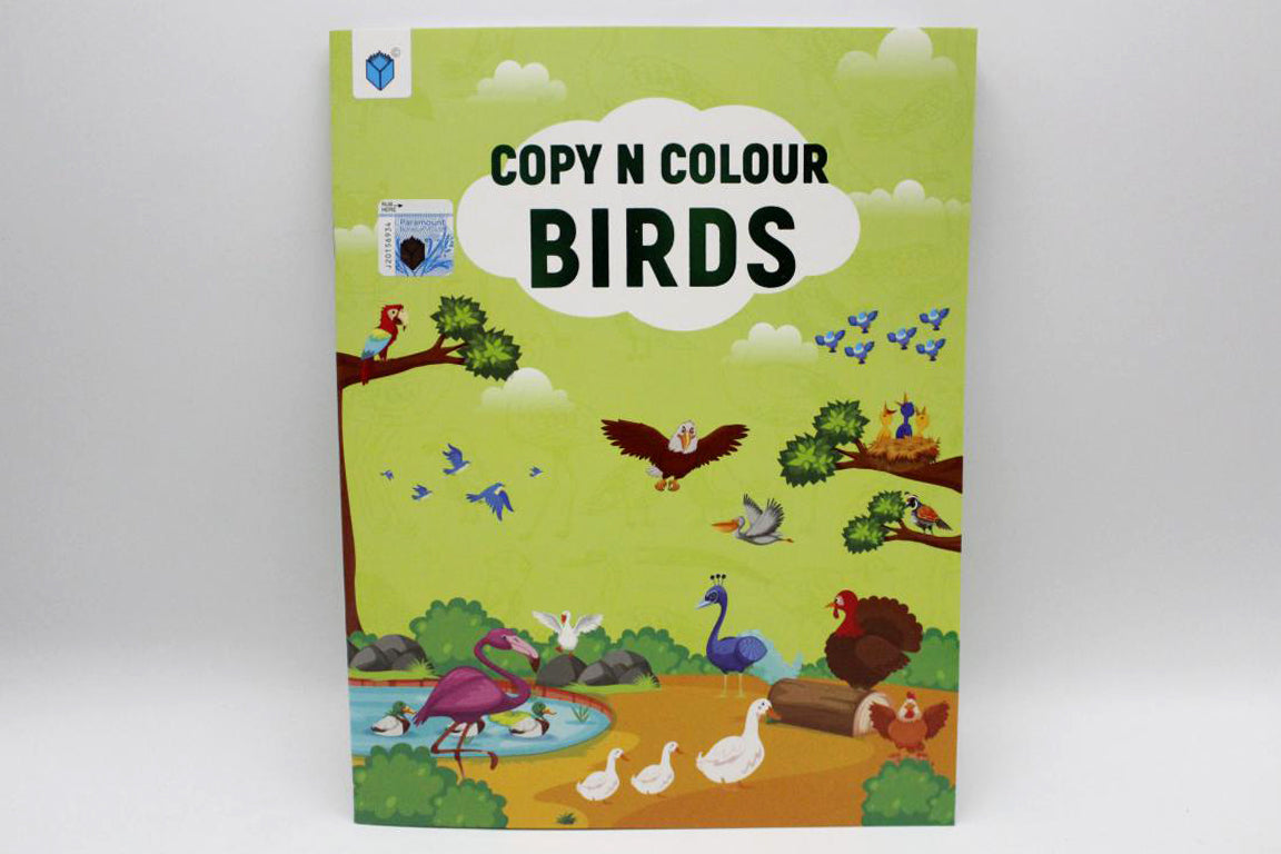 Copy N Colour Birds Book