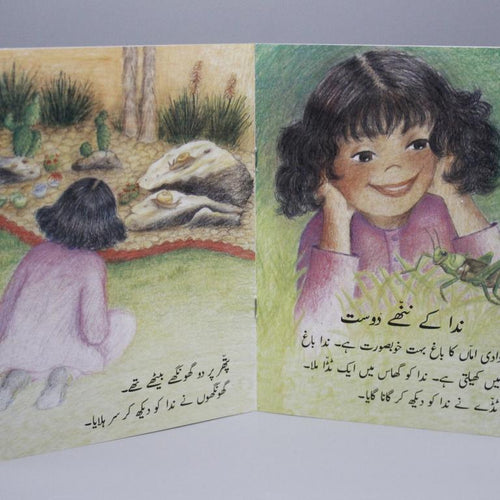 Load image into Gallery viewer, Nida Ke Nanhe Dost Urdu Story Book
