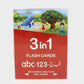 3 In 1 Small Abc - 123 - Alif Bay Jeem Flash Cards (2084)