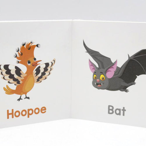 Load image into Gallery viewer, Birds Little Hands Board Book
