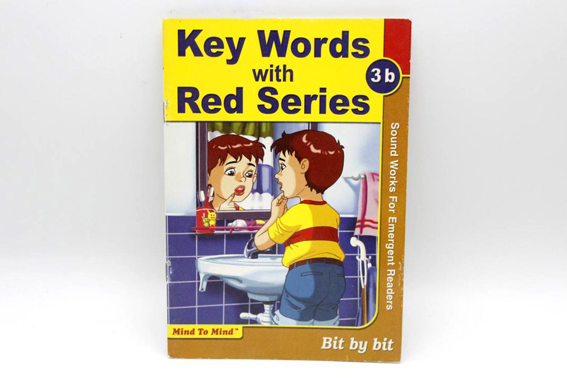 Key Words With Red Series 3b : Bit By Bit Book