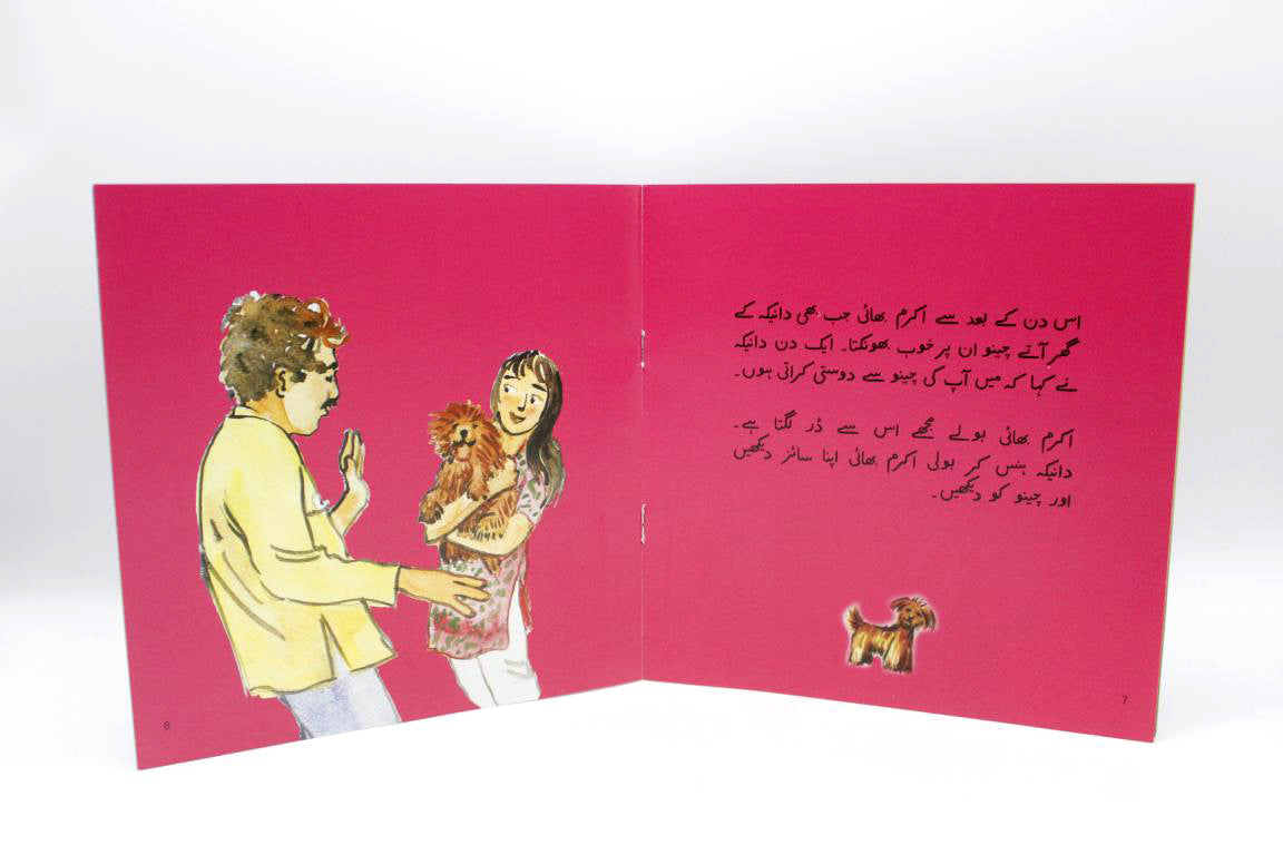 Chinoo Aur Danika Urdu Story Book