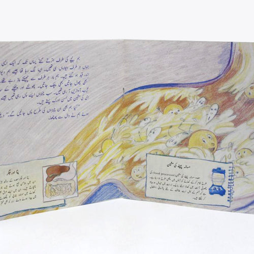 Load image into Gallery viewer, Daal Chawal Ka Safar Urdu Story Book
