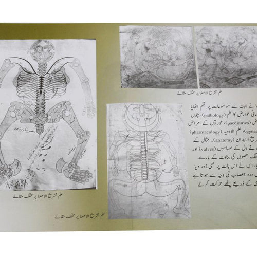 Load image into Gallery viewer, Azeem Musalman Science Dan Pack of 12 Books Set
