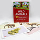 Wild Animals Flash Cards (1016)