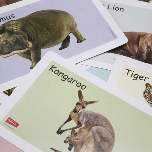 Load image into Gallery viewer, Wild Animals Flash Cards (1016)
