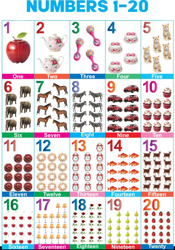 Numbers 1-20 Folding Chart – Kids Care