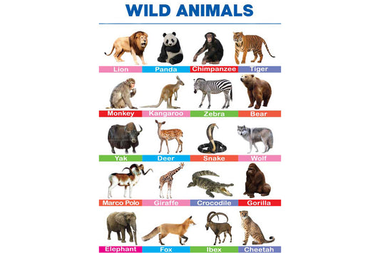 Wild Animals Folding Chart