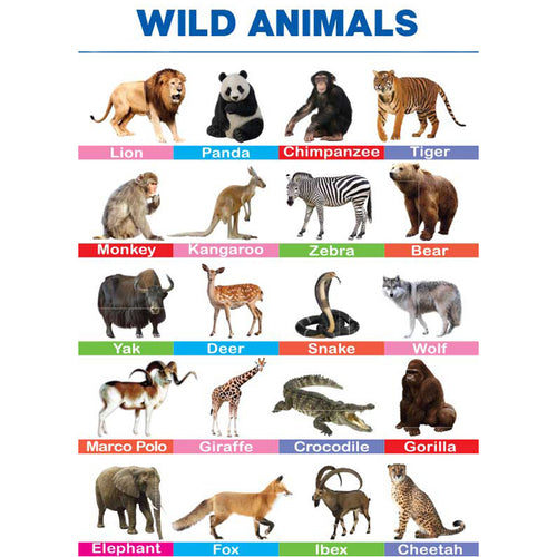 Wild Animals Folding Chart – Kids Care
