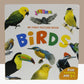 My First Picture Book Birds (1599)