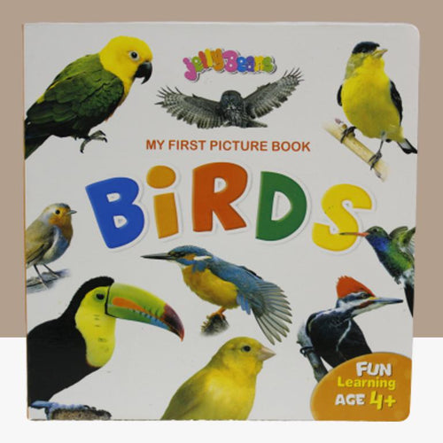 Load image into Gallery viewer, My First Picture Book Birds (1599)

