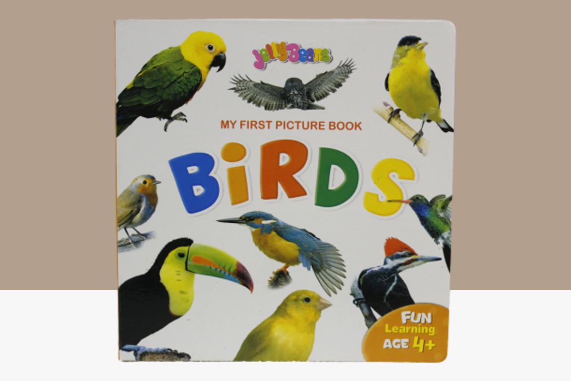 My First Picture Book Birds (1599)