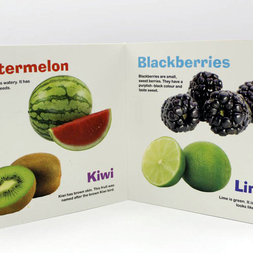 Load image into Gallery viewer, My First Picture Book Fruits (1593)
